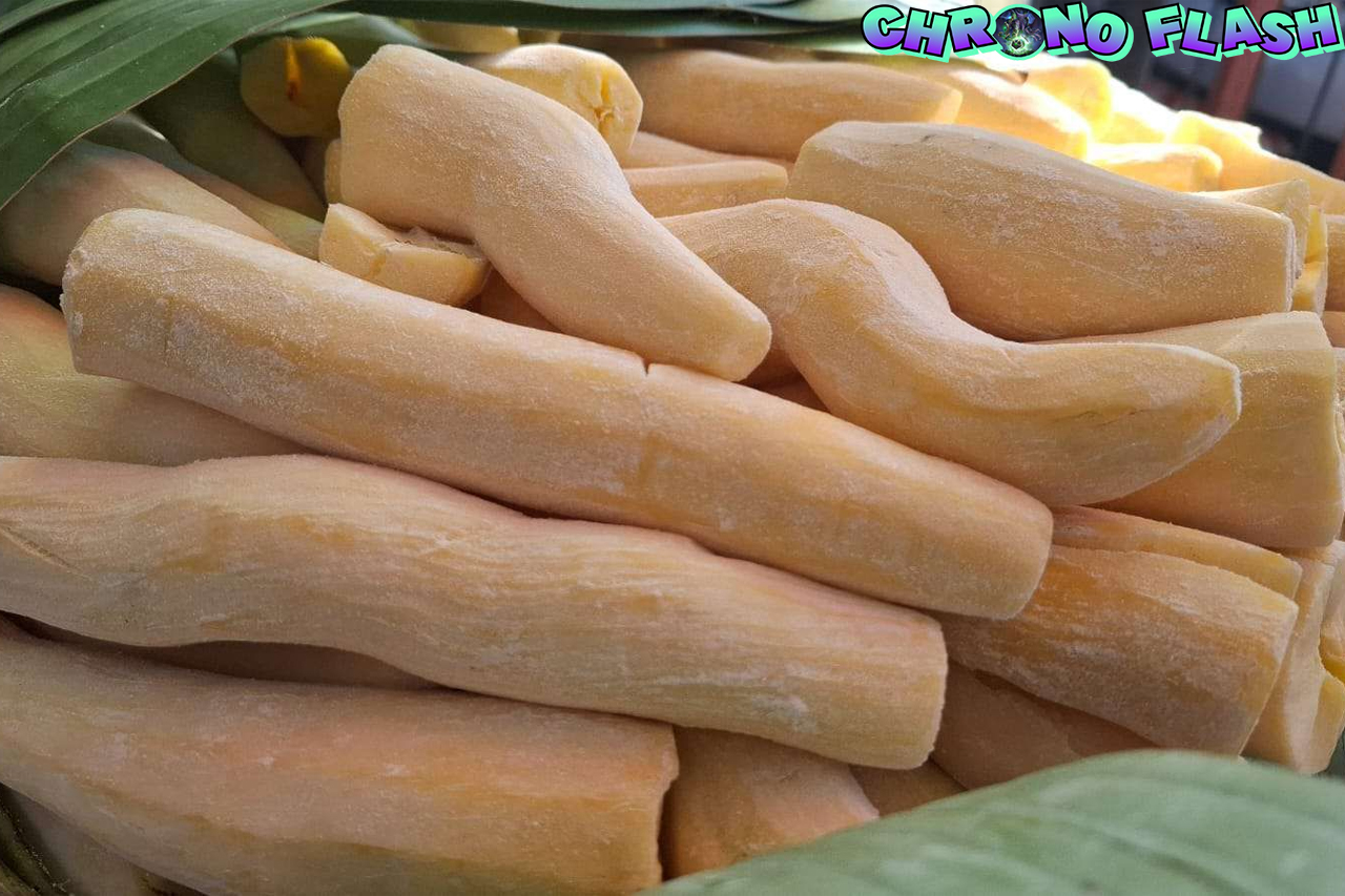 Rahasia Peuyeum Makanan Khas Jawa Barat yang Penuh Cerita!