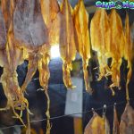 Sotong Pengkong Gurihnya Laut Kalimantan dalam Satu Suapan!