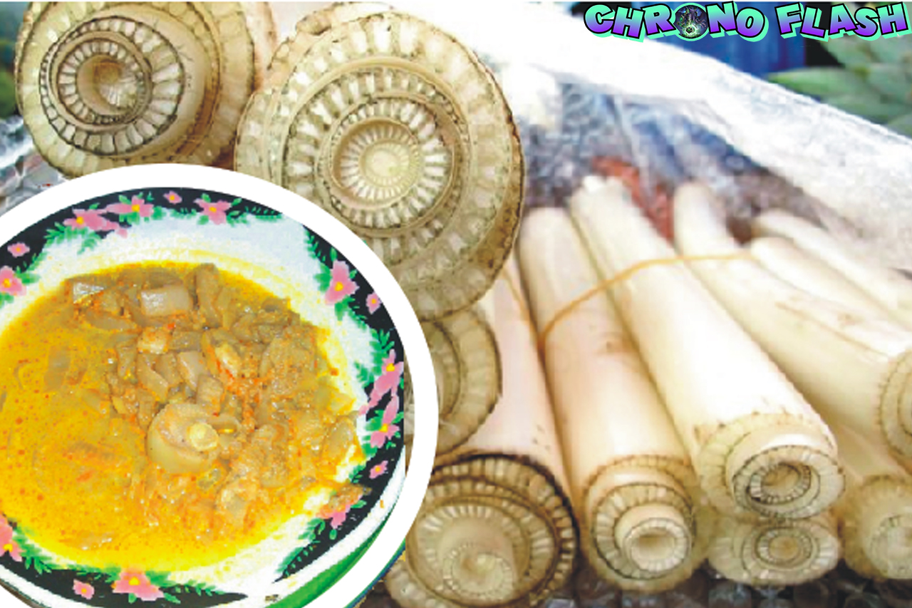 Eksplorasi 2 Rasa Autentik Sayur Ares Lombok
